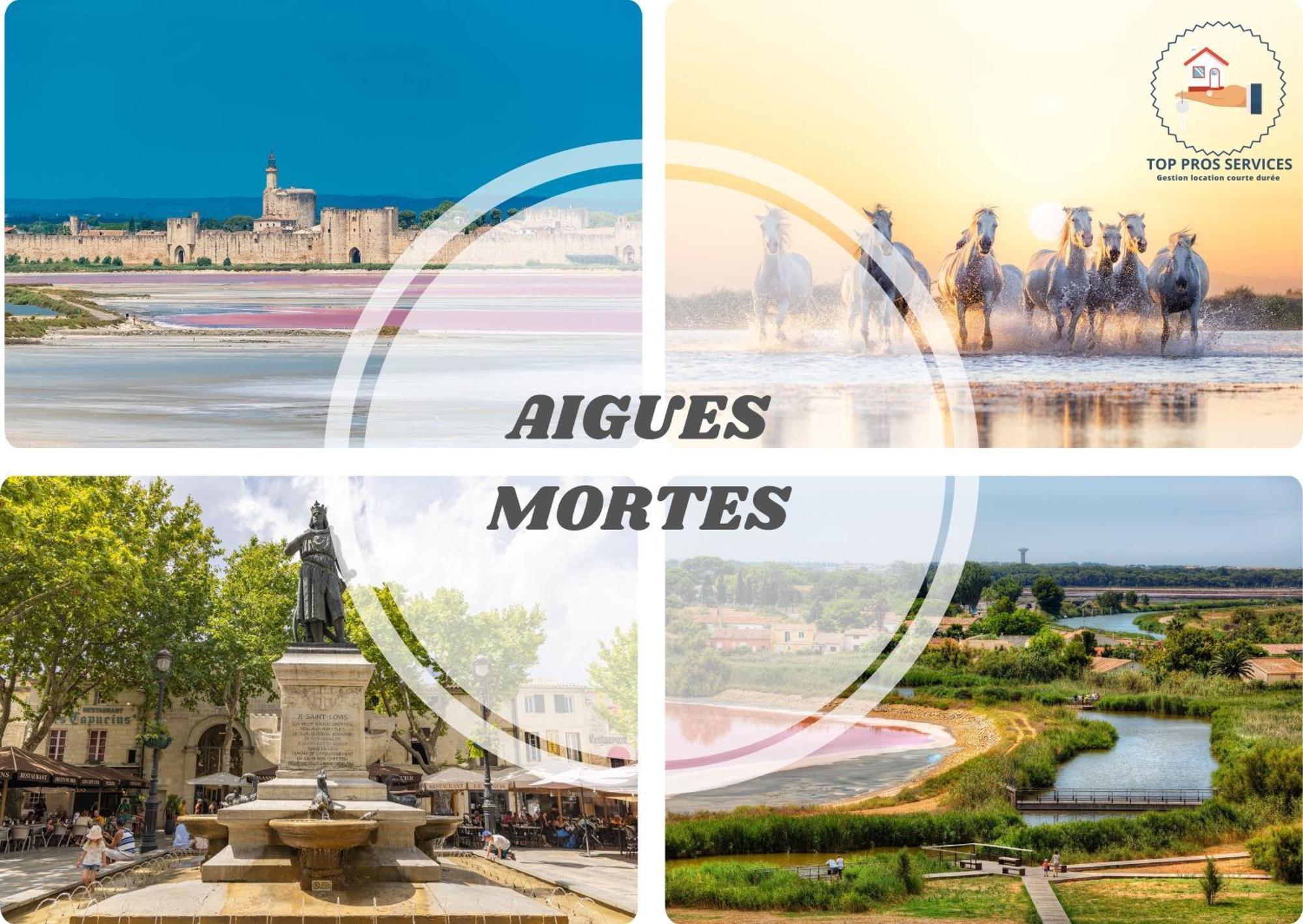 לה גרנד מוט Le Sunrise Vue Mer Acces Plage- Spacieux-2 Terrasses-Wifi - Confort -Top Pros Servicesconciergerielagrandemotte מראה חיצוני תמונה